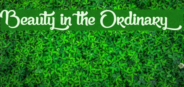 Beauty in the Ordinary Font examples