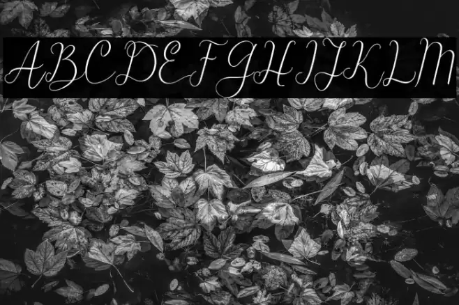 Beauty Font examples