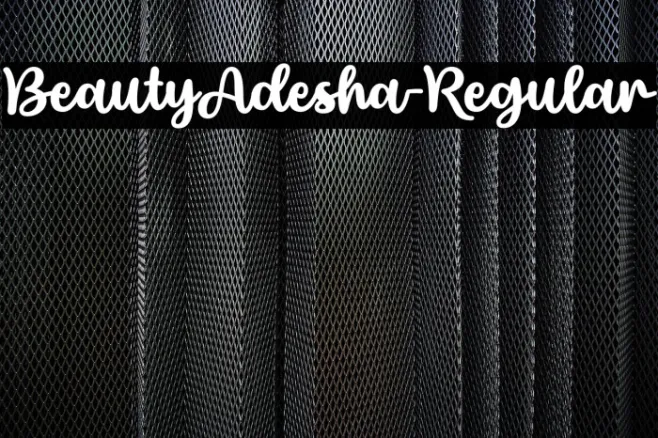 BeautyAdesha-Regular Example 2