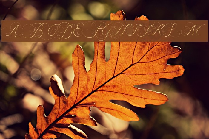 BeautyAngelique Font examples
