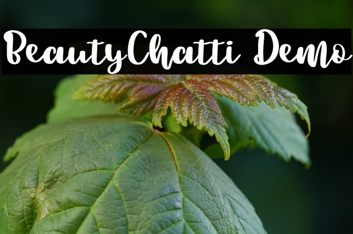 BeautyChatti Demo Example 1