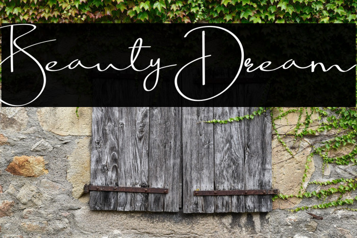 BeautyDream Example 1