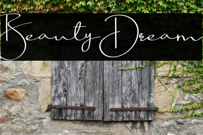 BeautyDream Example 1