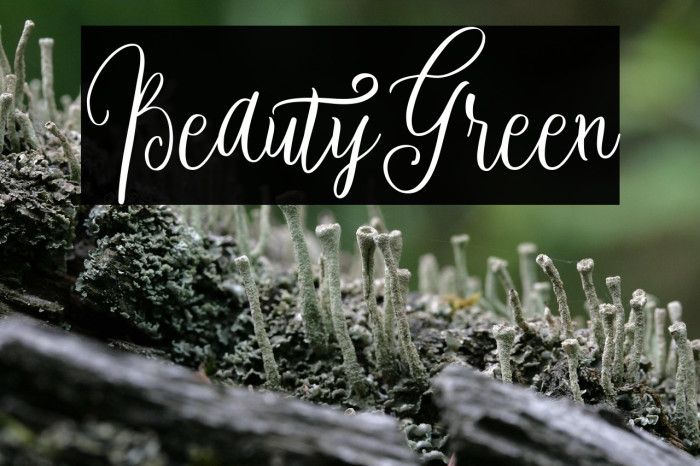 BeautyGreen Example 2