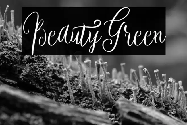 BeautyGreen Font examples