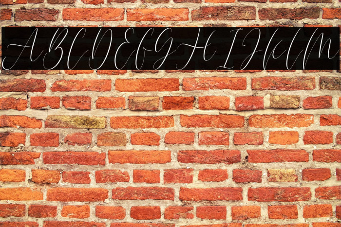 BeautyHeart Example 1