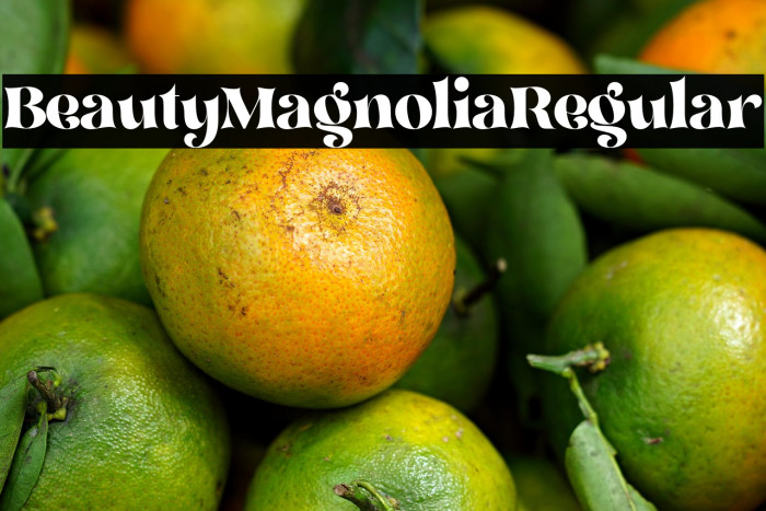 BeautyMagnolia-Regular Example 2