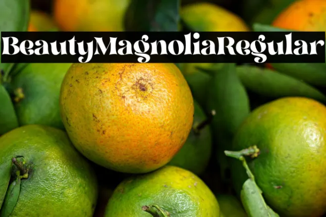 BeautyMagnolia-Regular Example 2