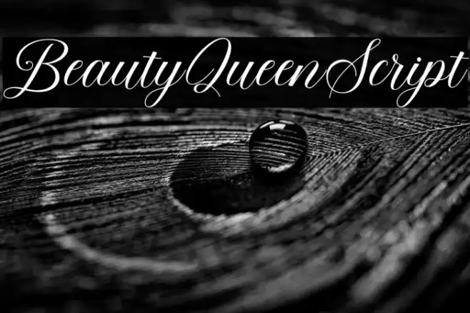 BeautyQueenScript Font examples