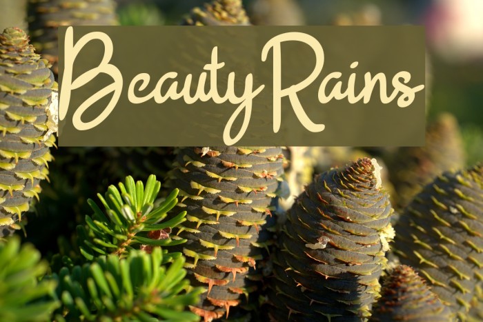 BeautyRains Example 2