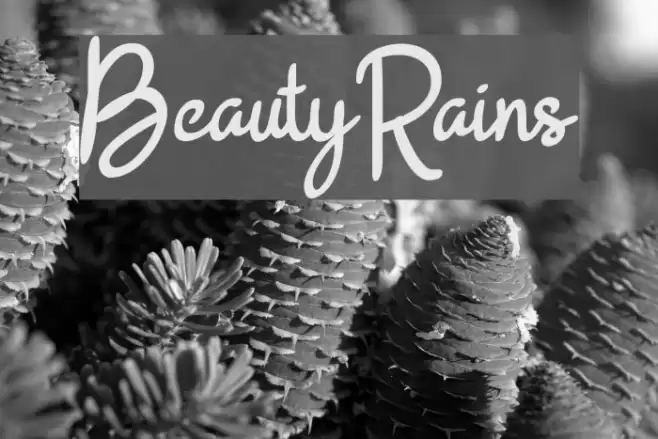 BeautyRains Font examples