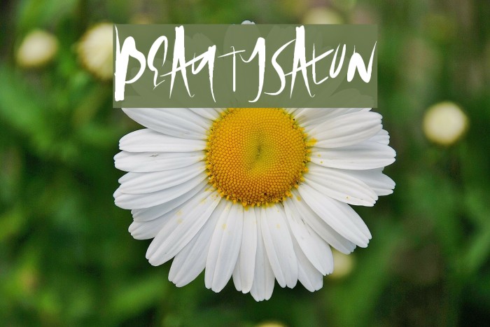 BeautySalon Example 2