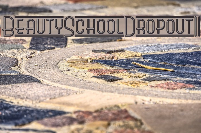 BeautySchoolDropoutII Шрифта examples