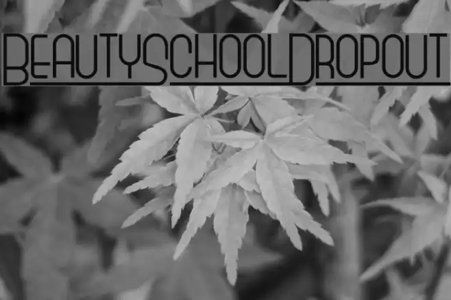 BeautySchoolDropout Font examples