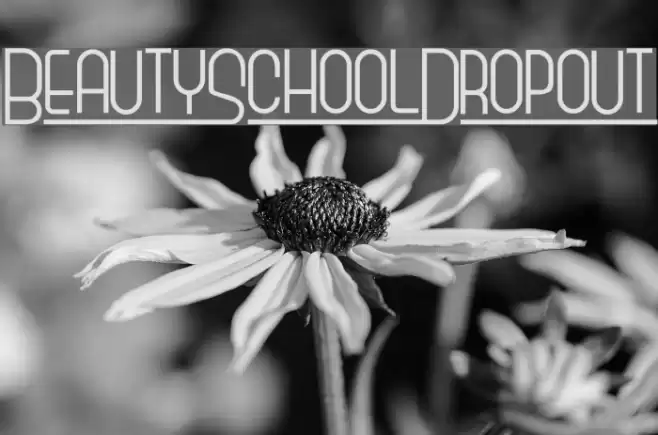 BeautySchoolDropout Font examples