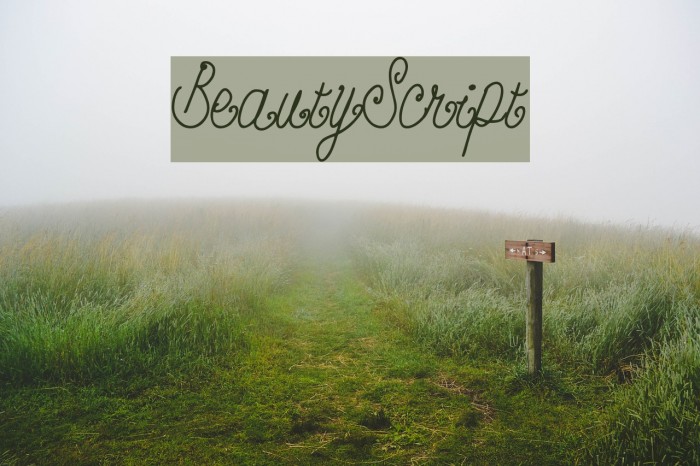 BeautyScript Font examples