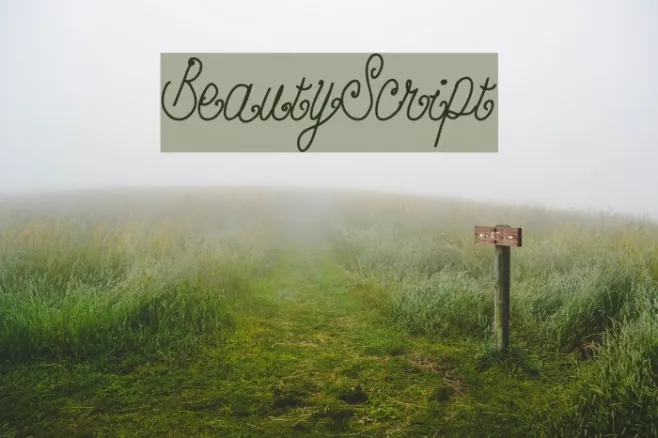 BeautyScript Example 1