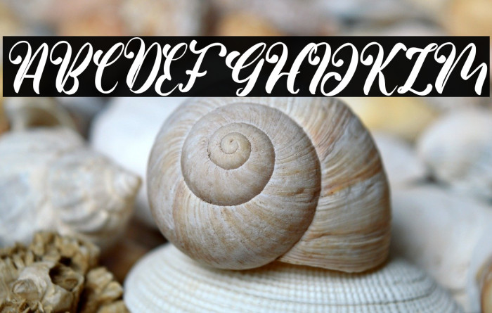 BeautyValentina Example 1