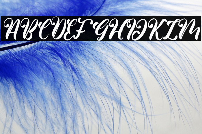 BeautyValentina Example 3