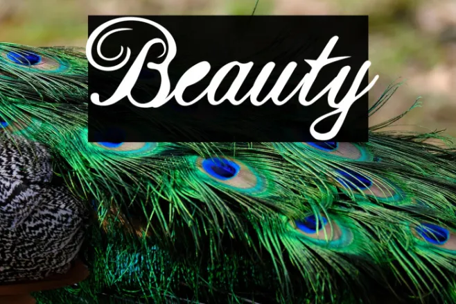 Beauty Example 2