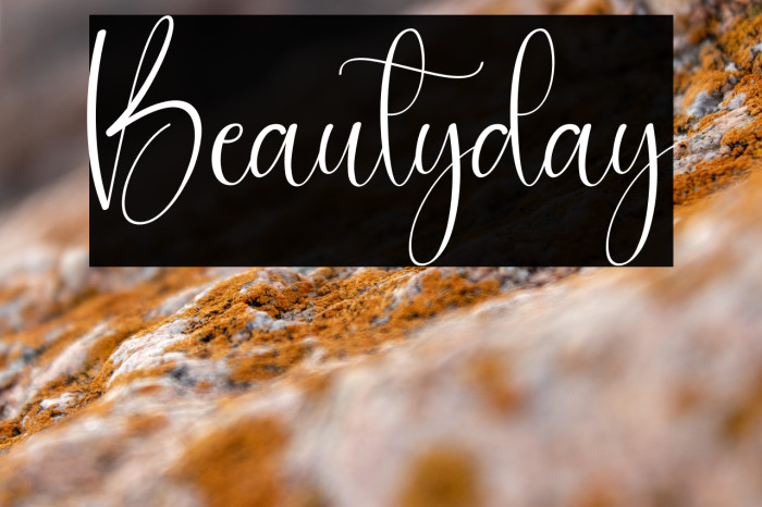 Beautyday Example 3