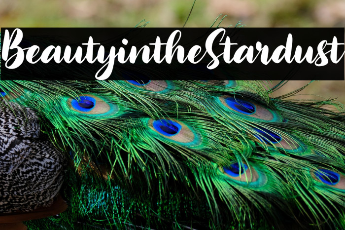 BeautyintheStardust Example 3