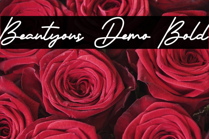 Beautyous Demo Bold Example 3