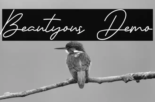 Beautyous Demo Font examples