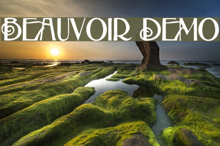 Beauvoir Demo Font examples