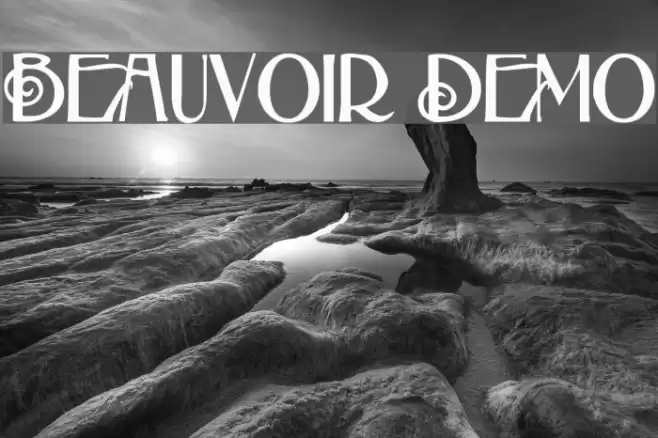 Beauvoir Demo Schriftart examples