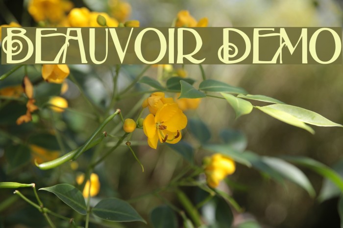 Beauvoir Demo Font examples