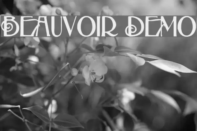 Beauvoir Demo Schriftart examples