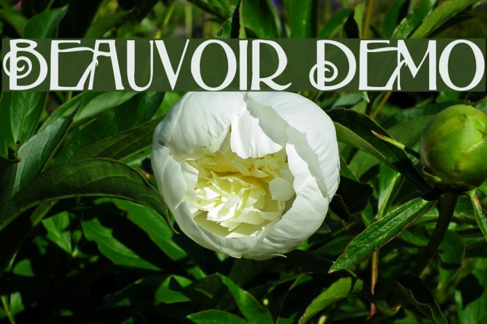 Beauvoir Demo Font examples