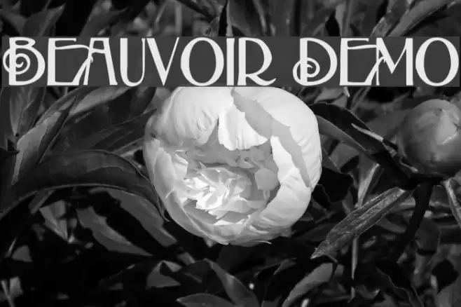 Beauvoir Demo Schriftart examples