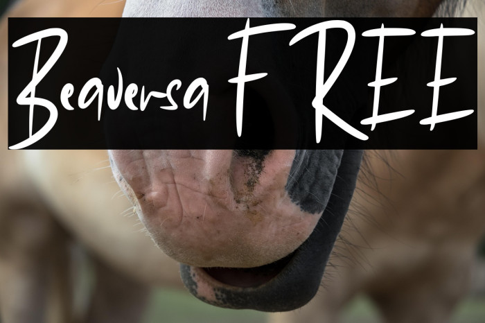 Beaversa FREE Example 1