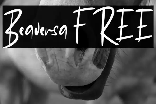 Beaversa FREE 字体 examples