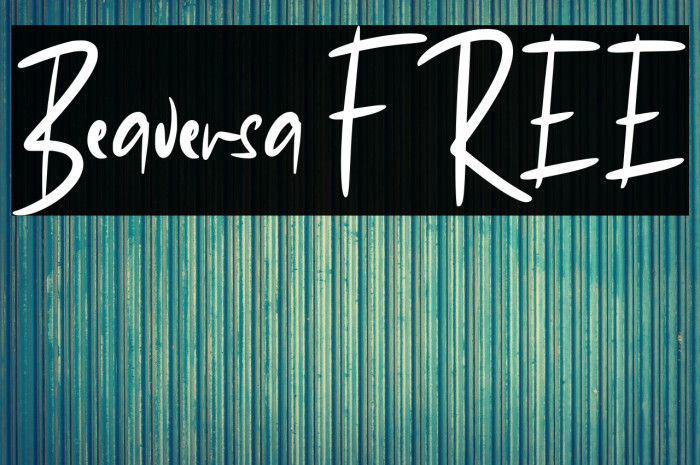 Beaversa FREE Example 2