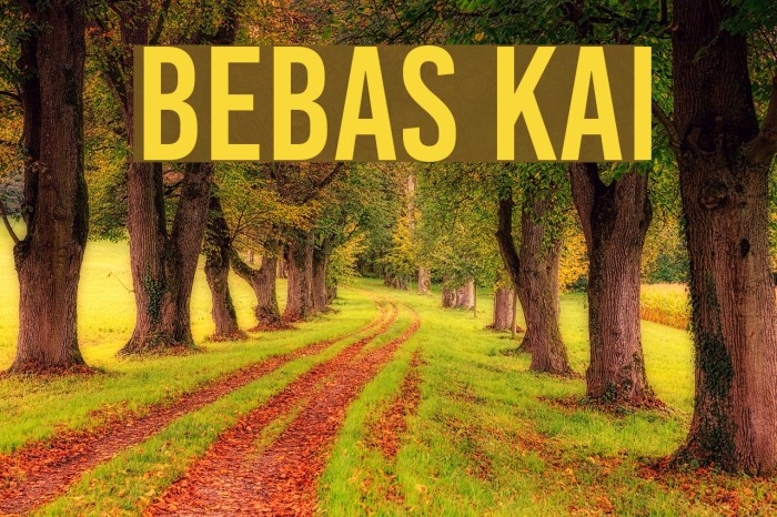 Bebas Kai Font examples