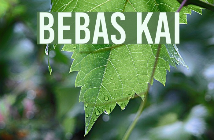 Bebas Kai Font examples