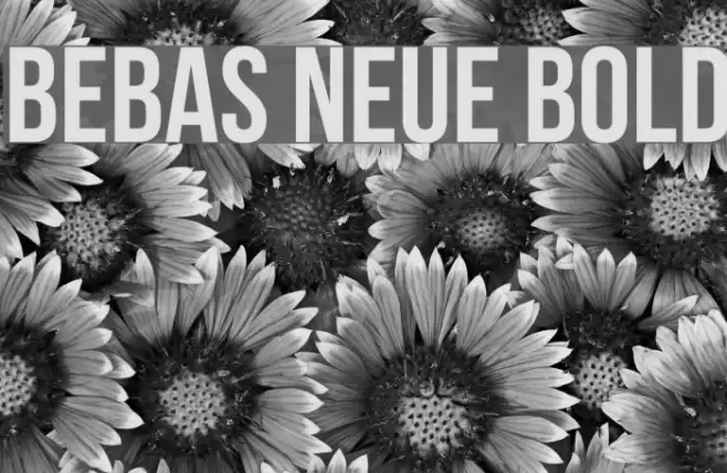 Bebas Neue Bold フォント examples