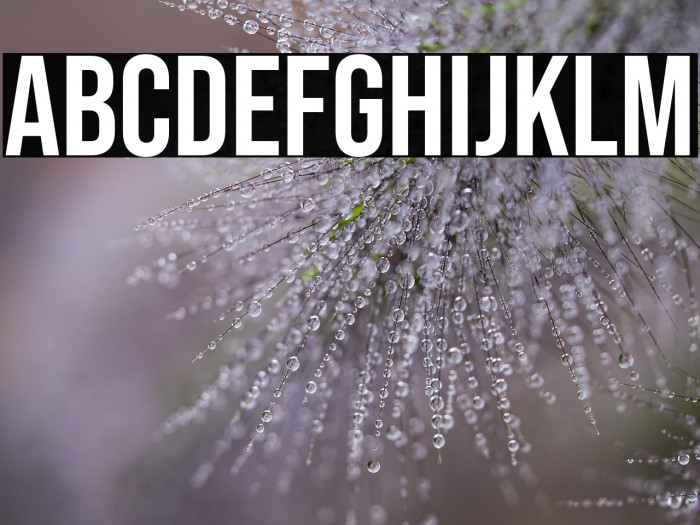 Bebas Neue Regular Example 1