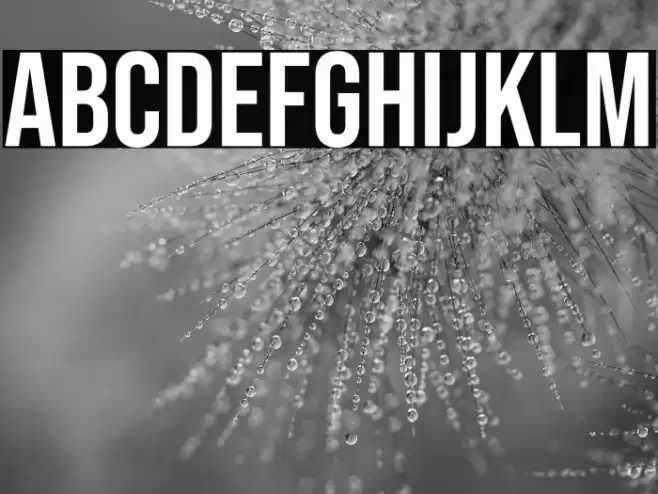 Bebas Neue Regular Font examples