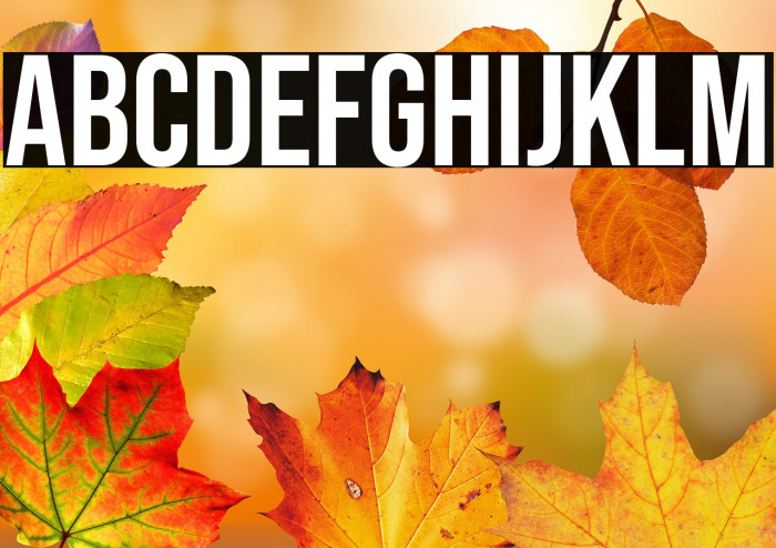 Bebas Neue Regular Example 3