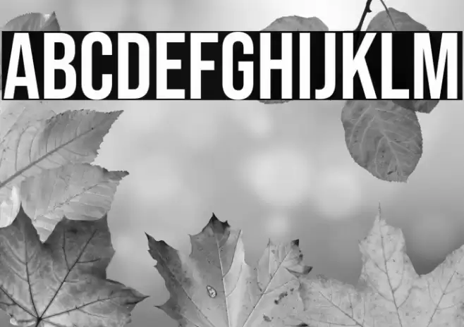 Bebas Neue Regular Font examples