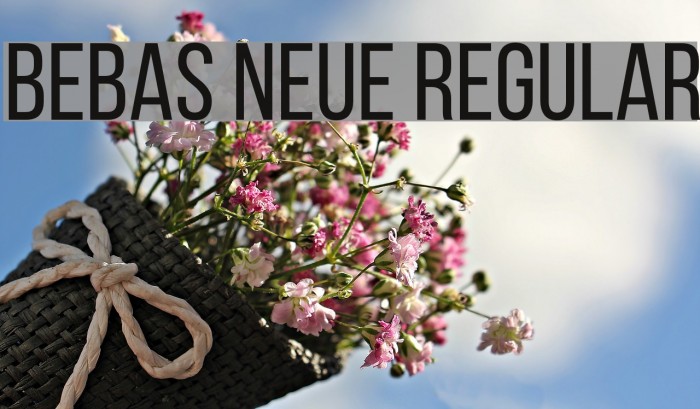 Bebas Neue Regular Font examples