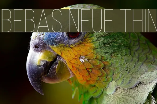Bebas Neue Thin Example 1
