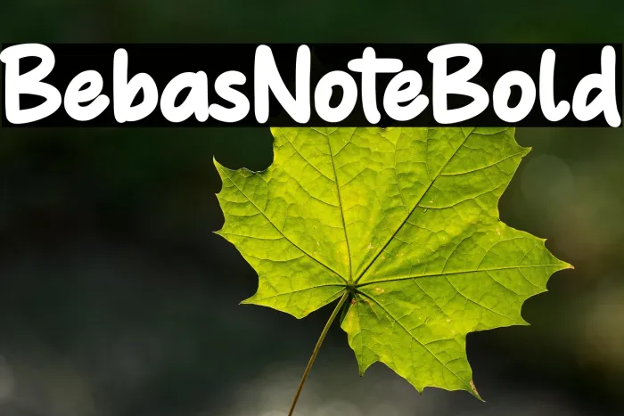 Bebas Note Bold Example 2