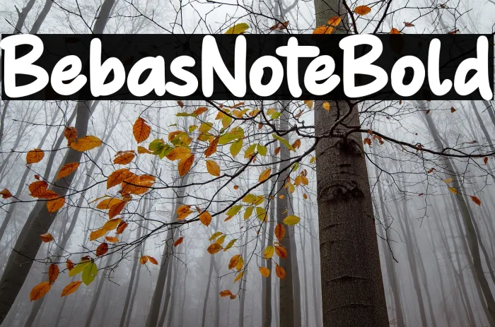 Bebas Note Bold Example 3