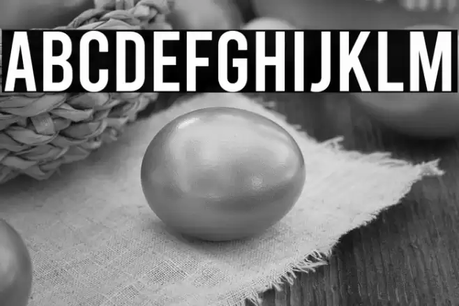 Bebas Regular フォント examples