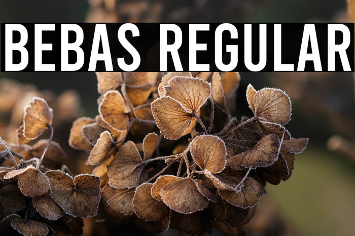 Bebas Regular Example 2